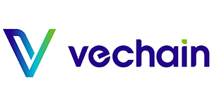VE Chain Gradient Logo 300x150